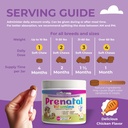 dog-prenatal-vitamins-120-soft-chews-mul-6.jpg