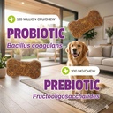 pet-naturals-daily-probiotic-soft-chews--5.jpg