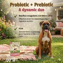 pet-naturals-daily-probiotic-soft-chews--6.jpg