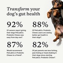 petlab-co-probiotic-chews-for-dogs-30-so-2.jpg