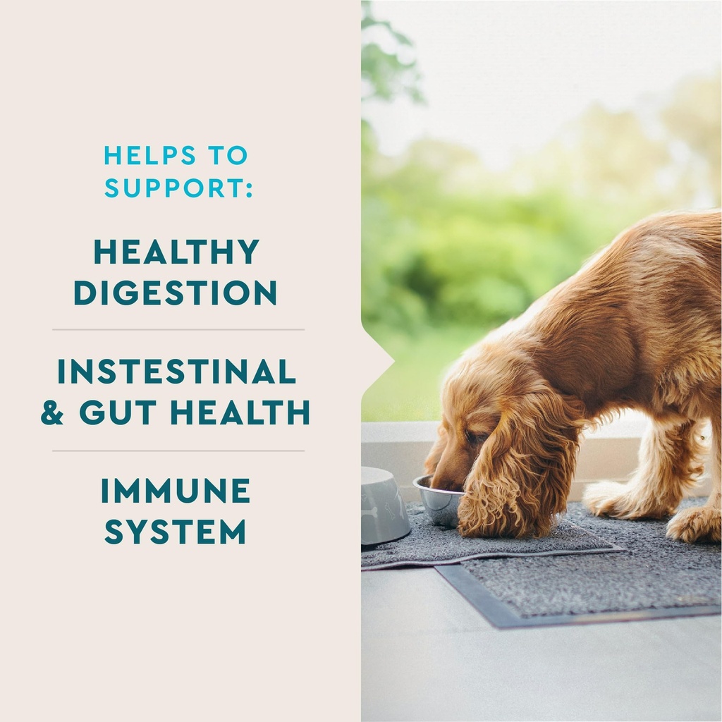 vetiq-probiotic-supplement-for-dogs-gut--2.jpg
