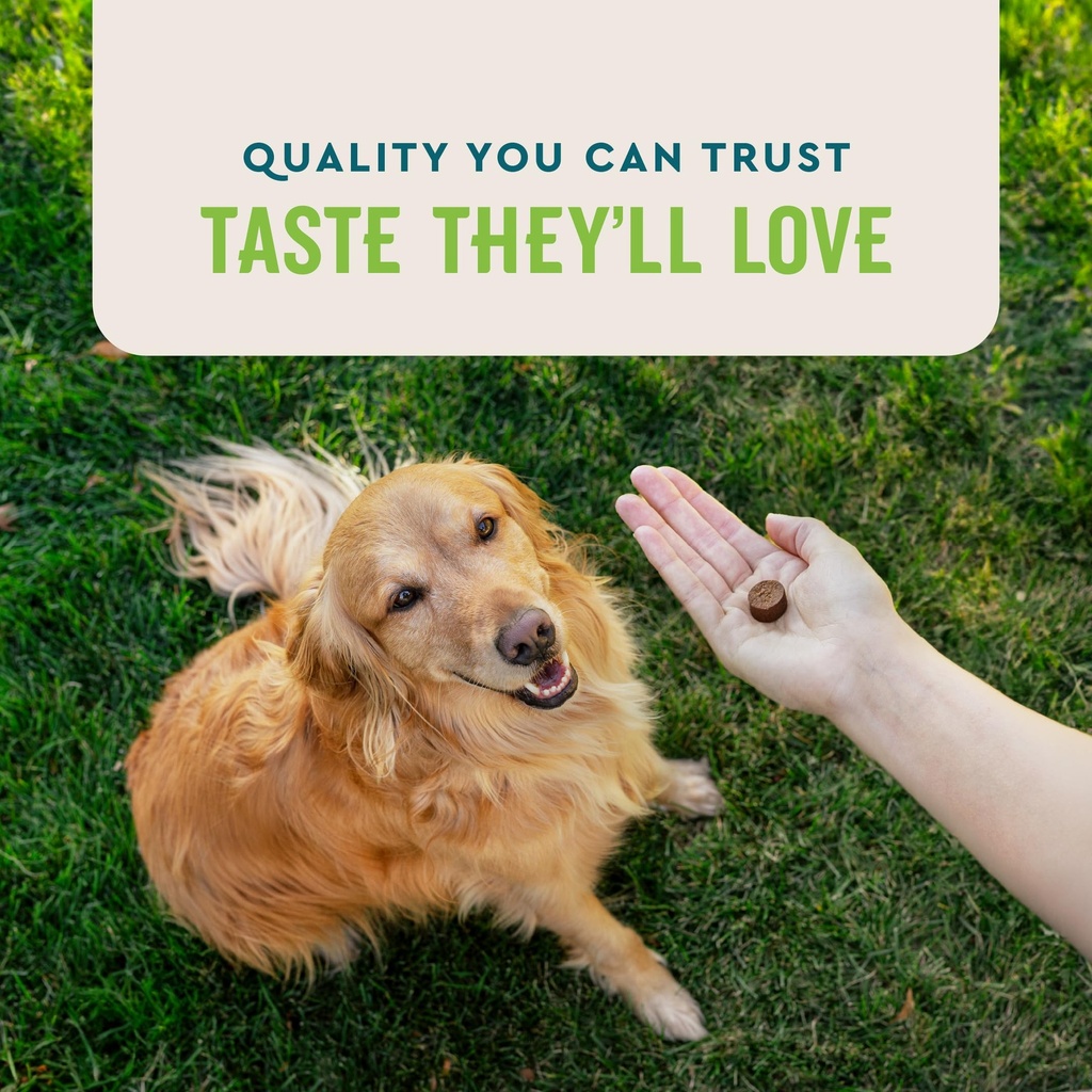 vetiq-probiotic-supplement-for-dogs-gut--5.jpg