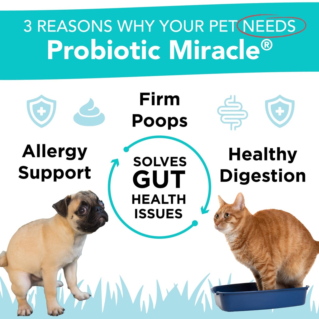 probiotics-for-dogs-360-scoops-probiotic-2.jpg