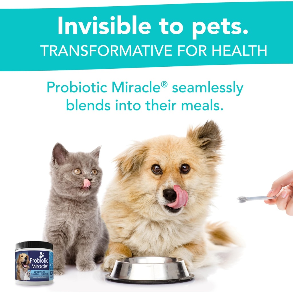 probiotics-for-dogs-360-scoops-probiotic-5.jpg