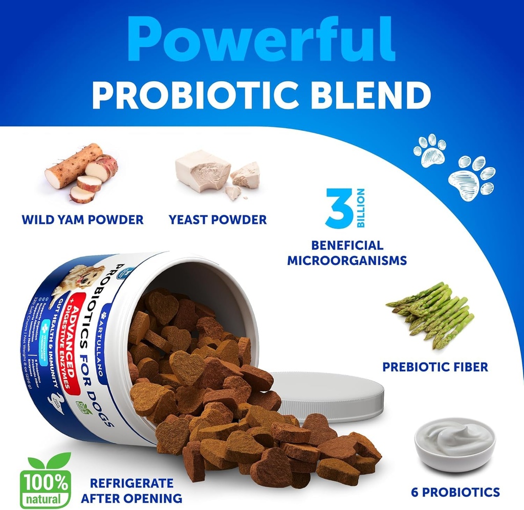 probiotics-for-dogs-support-gut-health-i-3.jpg