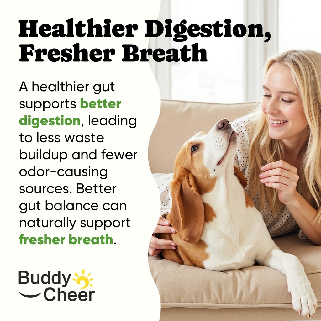 probiotics-for-dogs-helps-digestion-loos-5.jpg