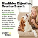 probiotics-for-dogs-helps-digestion-loos-5.jpg