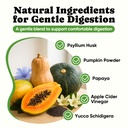 probiotics-for-dogs-helps-digestion-loos-6.jpg