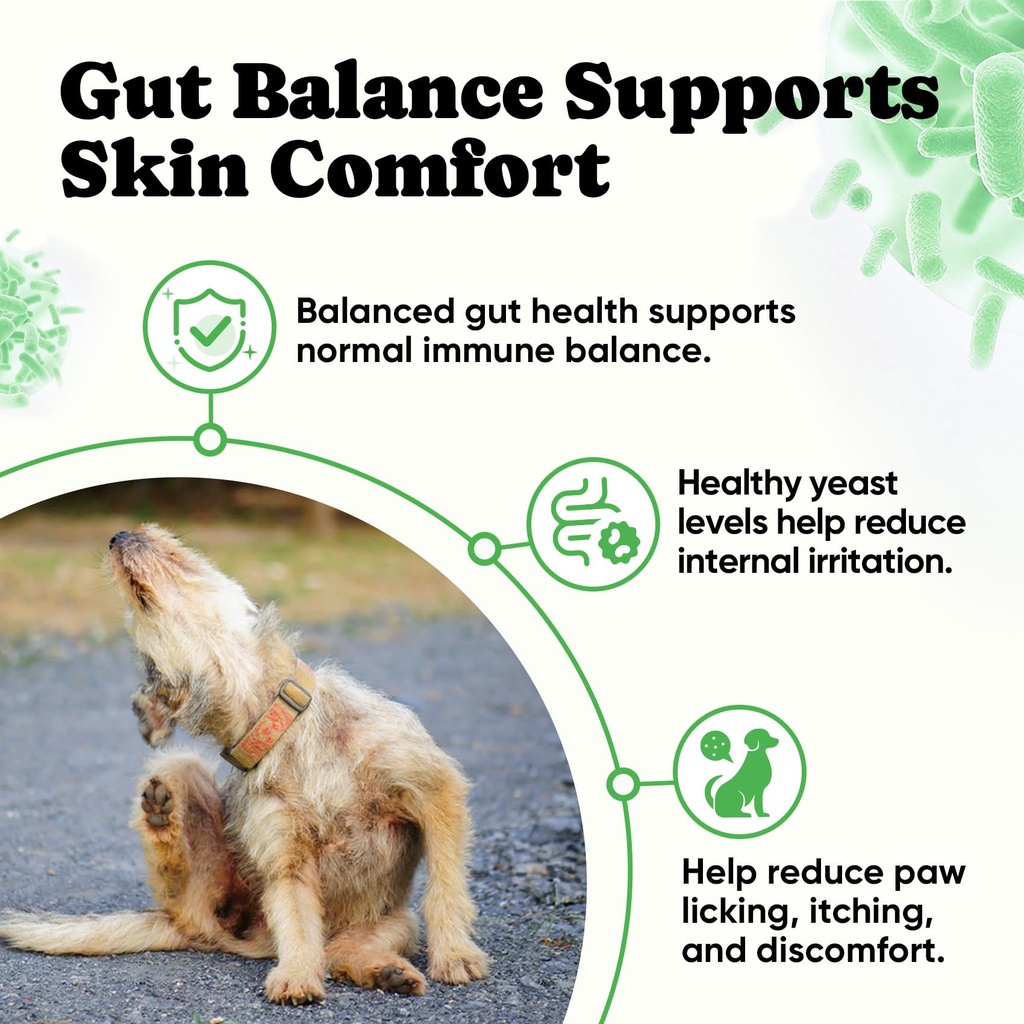 probiotics-for-dogs-helps-digestion-loos-4.jpg