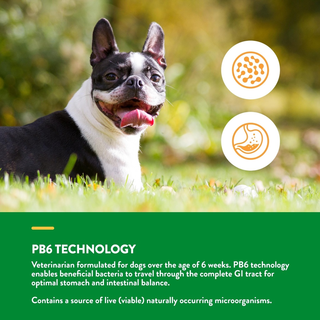 naturvet-advanced-probiotics-enzymes-dog-4.jpg