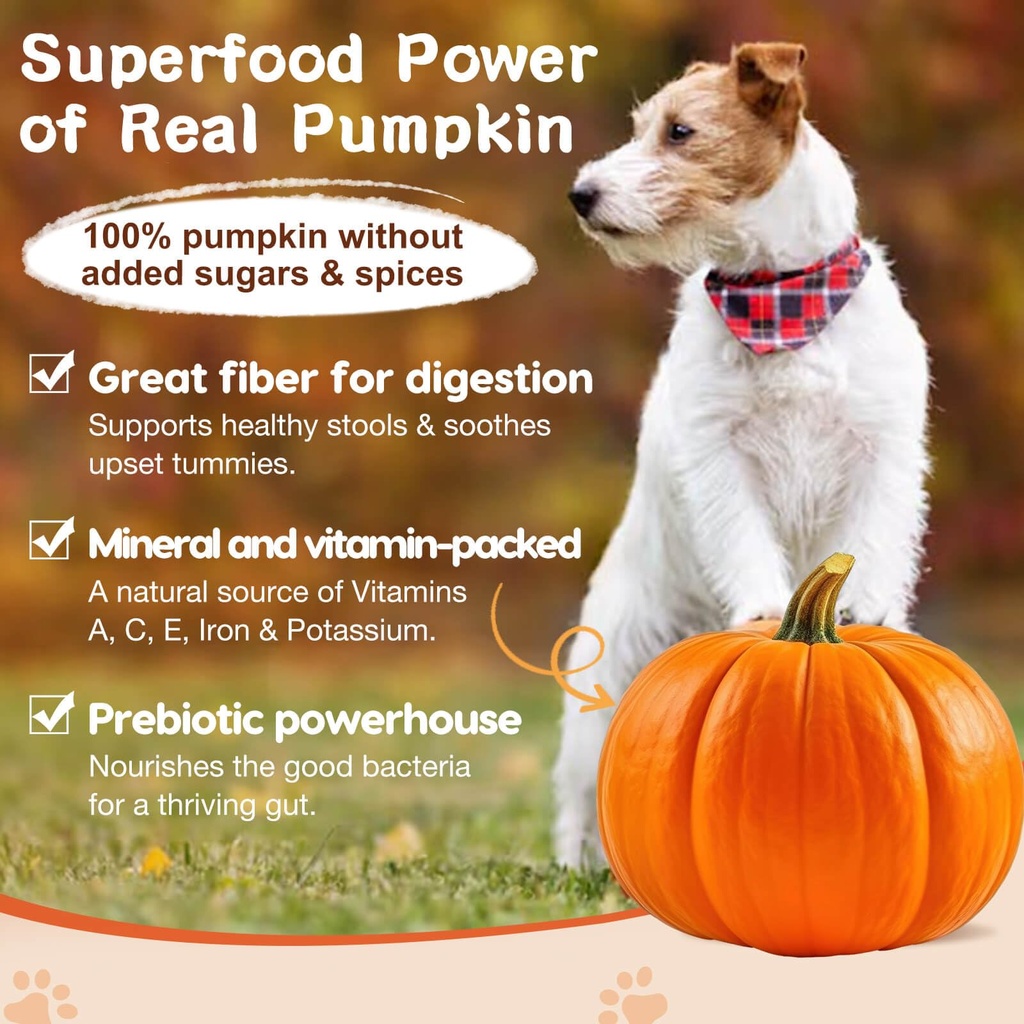 zebora-probiotics-for-dogs-digestive-itc-6.jpg