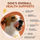 zebora-probiotics-for-dogs-digestive-itc-4.jpg