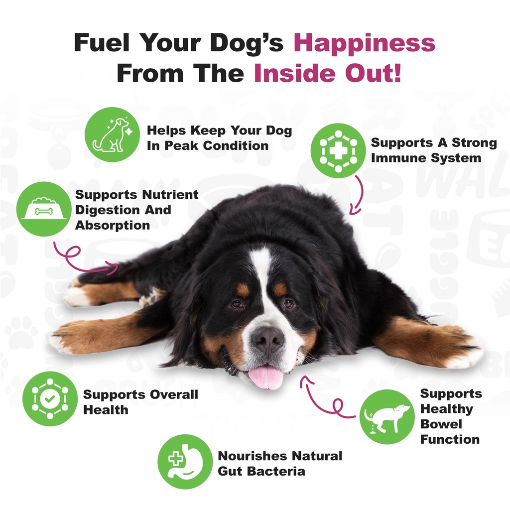 doggie-dailies-daily-probiotic-soft-chew-3.jpg