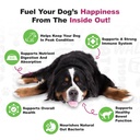 doggie-dailies-daily-probiotic-soft-chew-3.jpg