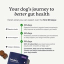petlab-co-probiotic-chews-30-soft-chews--6.jpg