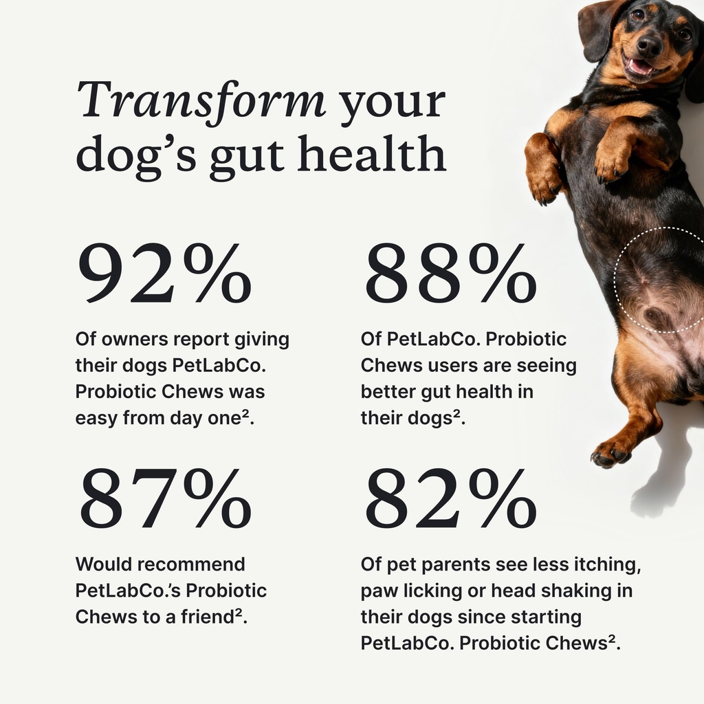 petlab-co-probiotic-chews-30-soft-chews--2.jpg