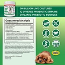 vital-planet-flora-dog-probiotic-powder--2.jpg