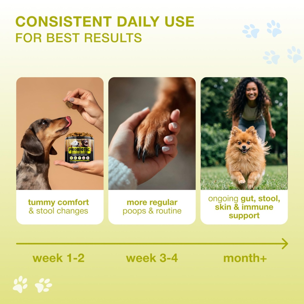 probiotics-for-dogs-with-digestive-enzym-6.jpg