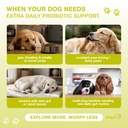 probiotics-for-dogs-with-digestive-enzym-2.jpg