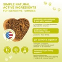probiotics-for-dogs-with-digestive-enzym-3.jpg