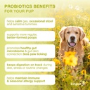 probiotics-for-dogs-with-digestive-enzym-5.jpg
