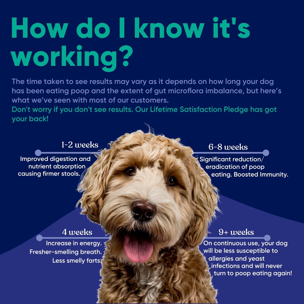 probiotic-coprophagia-treatment-for-dogs-4.jpg