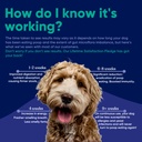 probiotic-coprophagia-treatment-for-dogs-4.jpg