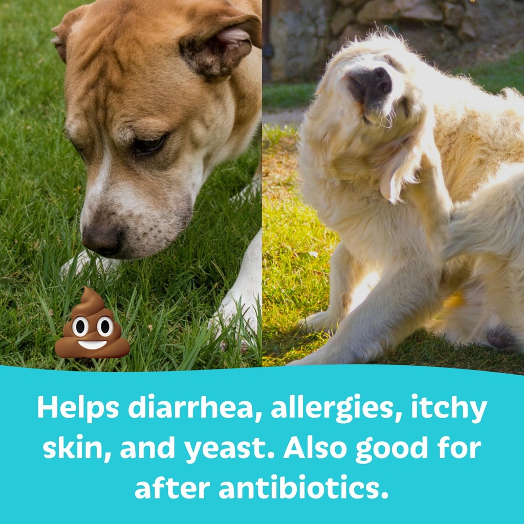 tails-n-tummies-probiotics-for-dogs-60-t-3.jpg
