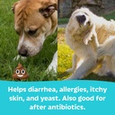 tails-n-tummies-probiotics-for-dogs-60-t-3.jpg