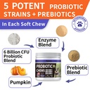 probiotics-for-dogs-improve-yeast-balanc-4.jpg