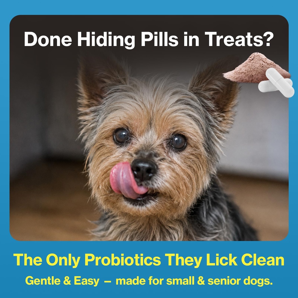squeeze-probiotics-for-dogs-gut-health-i-4.jpg
