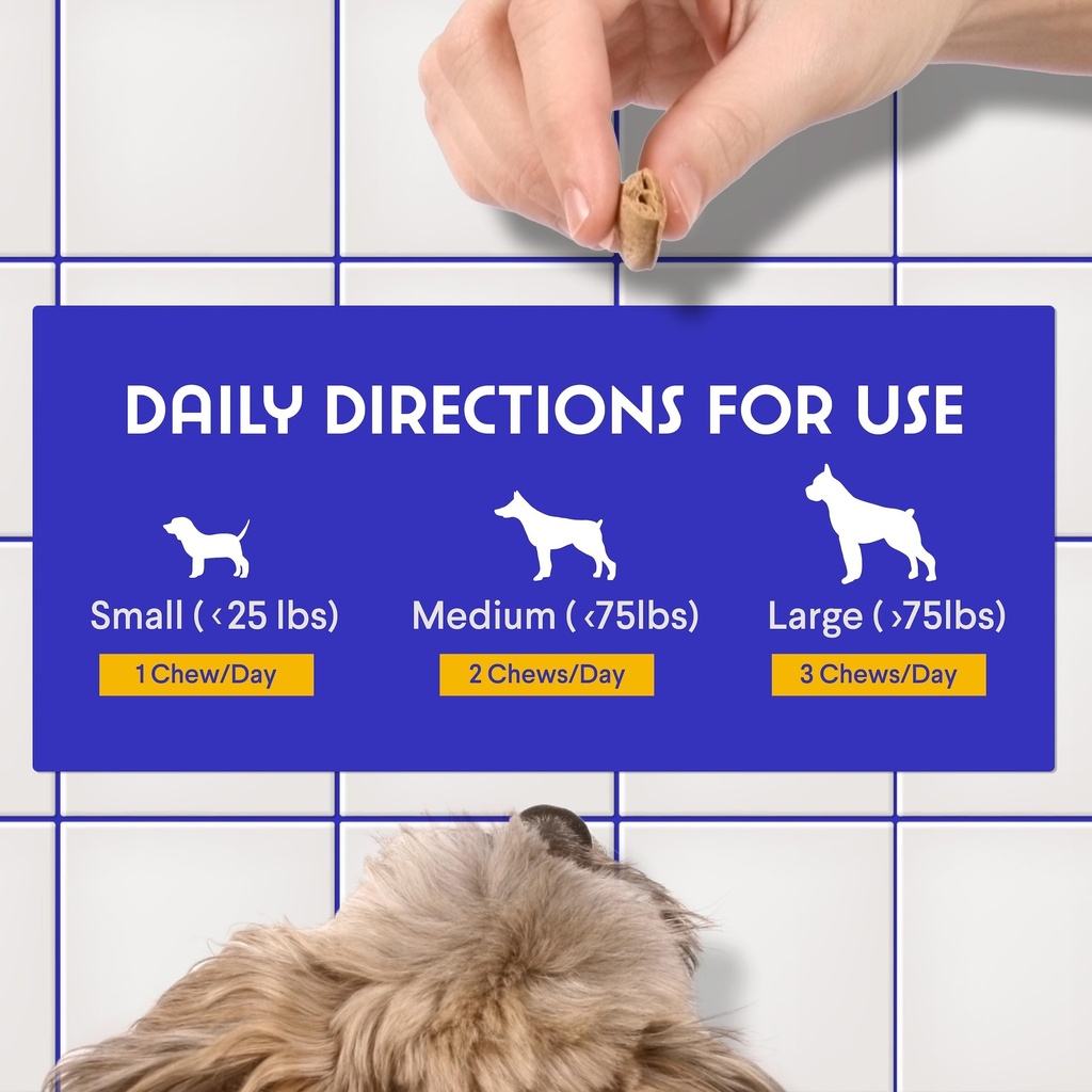 probiotics-for-dogs-daily-probiotic-supp-6.jpg