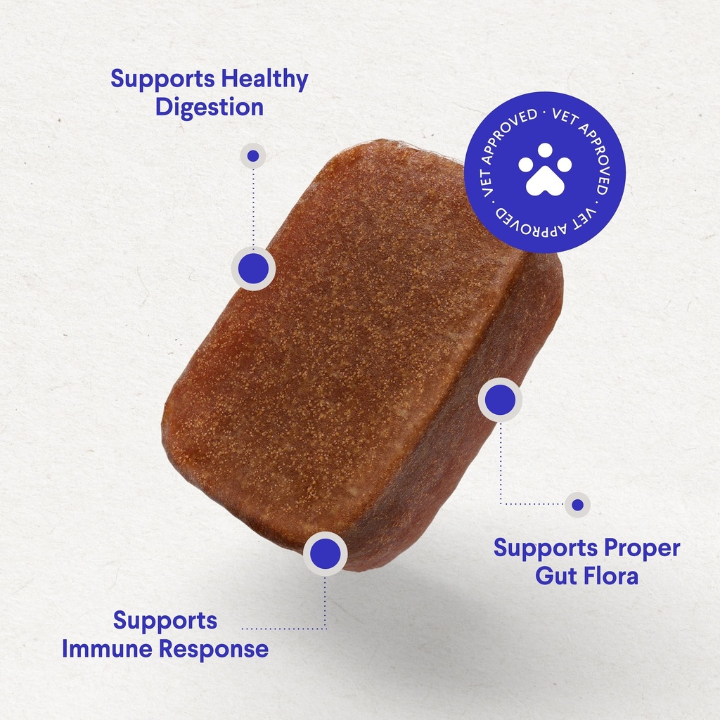 probiotics-for-dogs-daily-probiotic-supp-4.jpg