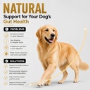 vetdr-mois-probiotics-for-dogs-120-soft--6.jpg