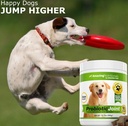 amazing-probiotics-for-dogs-eliminates-d-3.jpg