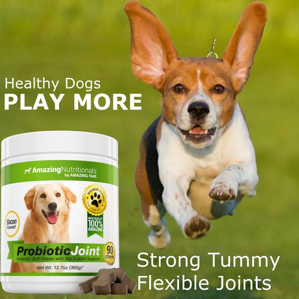 amazing-probiotics-for-dogs-eliminates-d-4.jpg