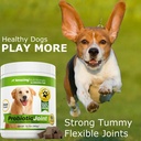 amazing-probiotics-for-dogs-eliminates-d-4.jpg