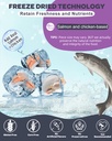 nature-target-probiotics-for-dogs-salmon-2.jpg