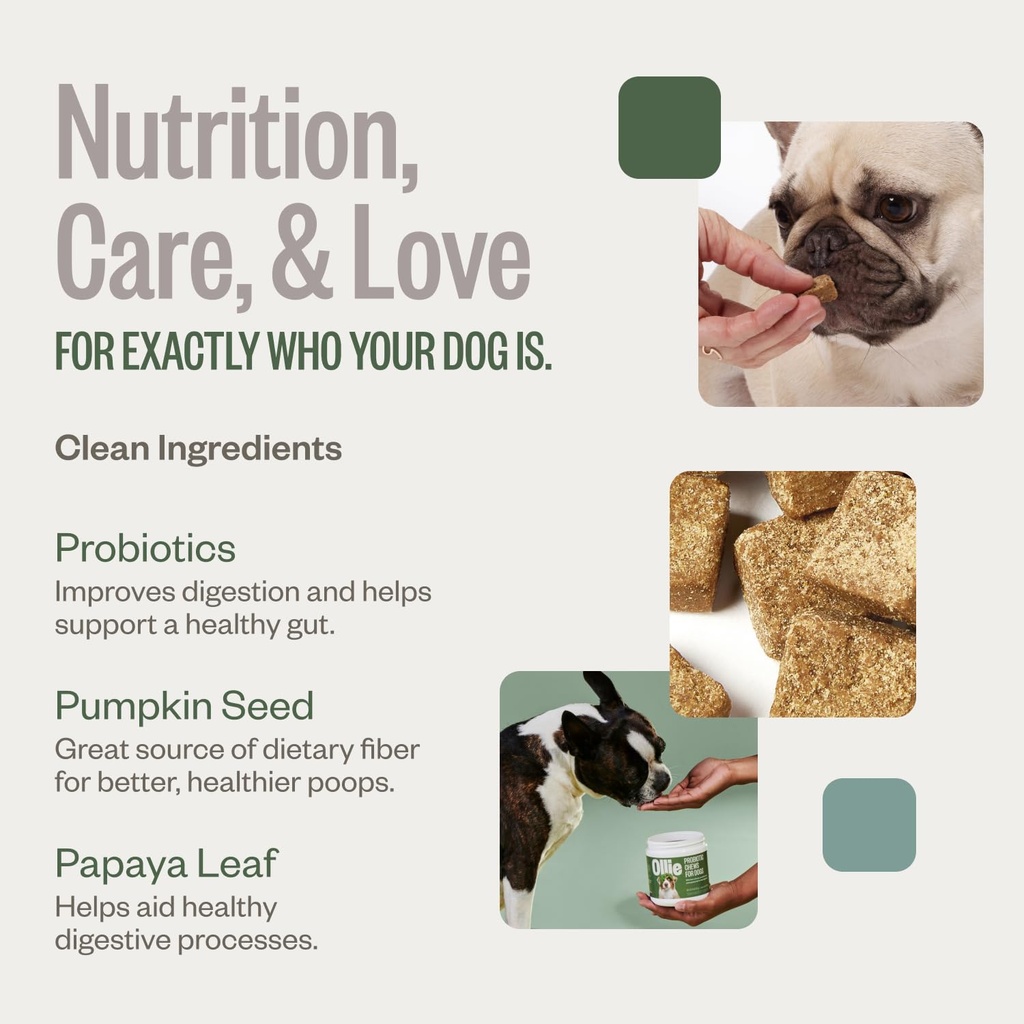 ollie-belly-rubs-probiotic-dog-chews-app-4.jpg