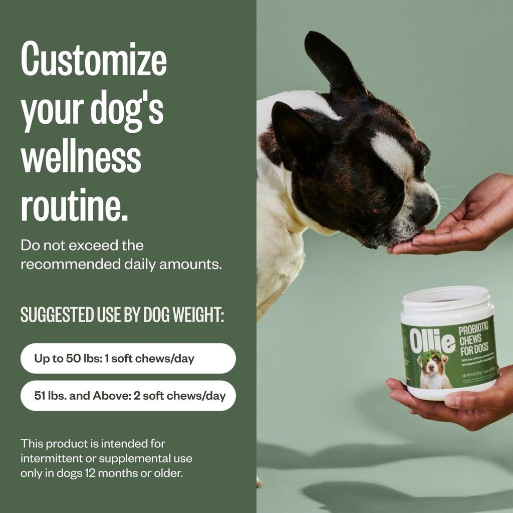 ollie-belly-rubs-probiotic-dog-chews-app-5.jpg