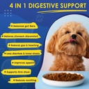 probiotics-for-dogs-digestive-health-120-4.jpg