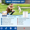 probiotics-for-dogs-dog-probiotic-chews--4.jpg