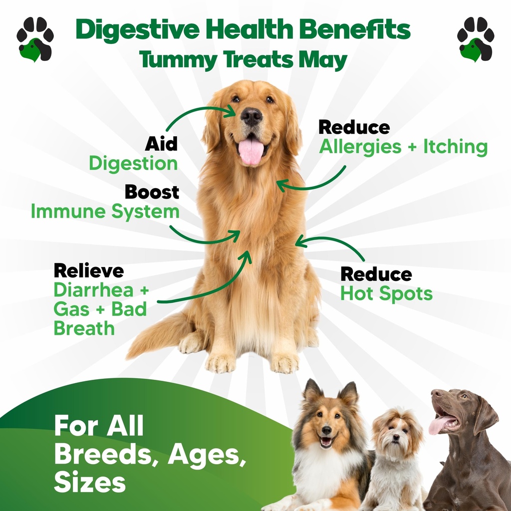 probiotics-for-dogs-90-soft-chews-digest-2.jpg