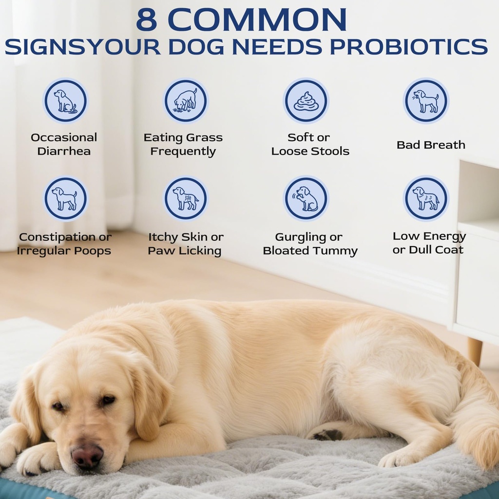 petnanny-probiotics-for-dogs-chicken-fla-6.jpg