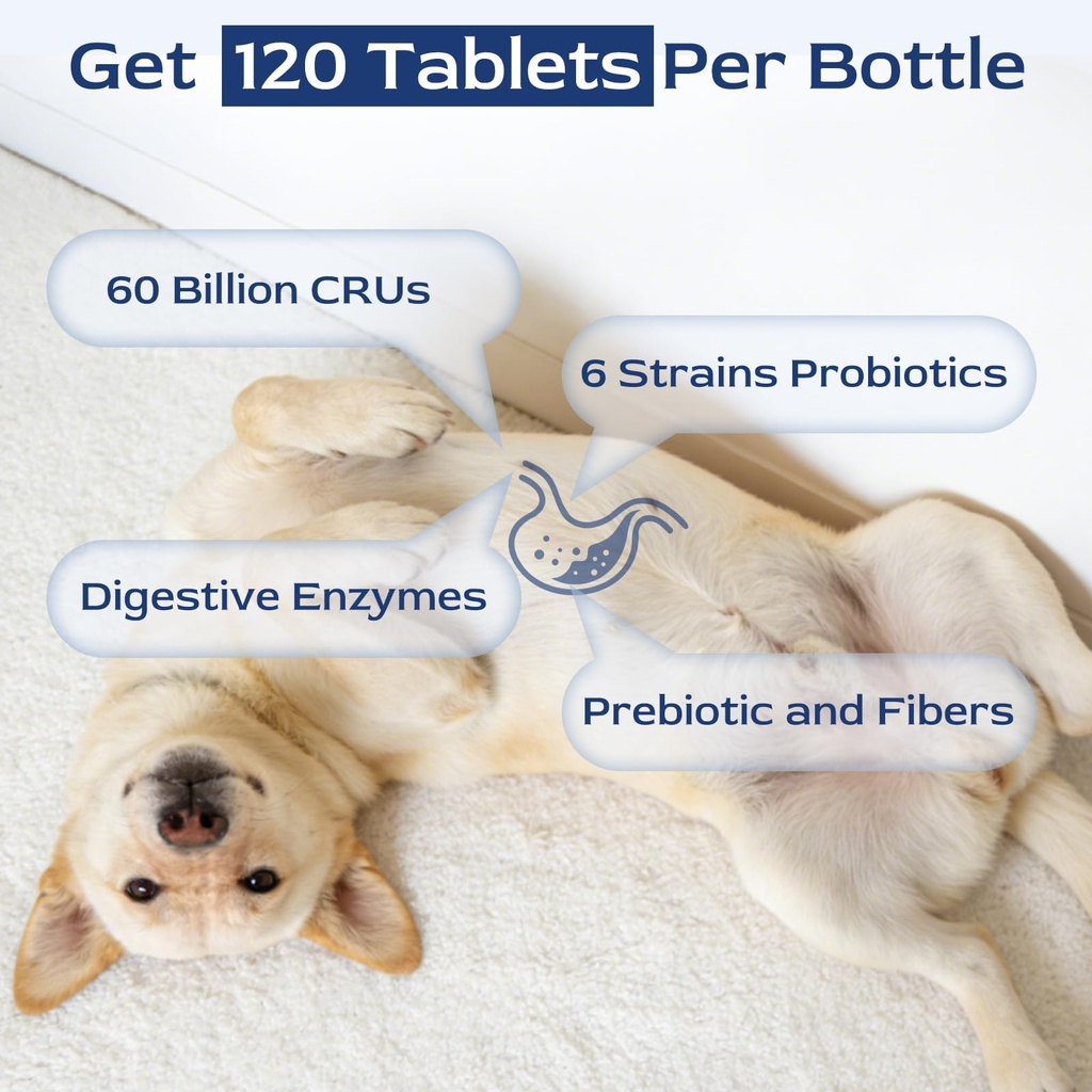 petnanny-probiotics-for-dogs-chicken-fla-5.jpg