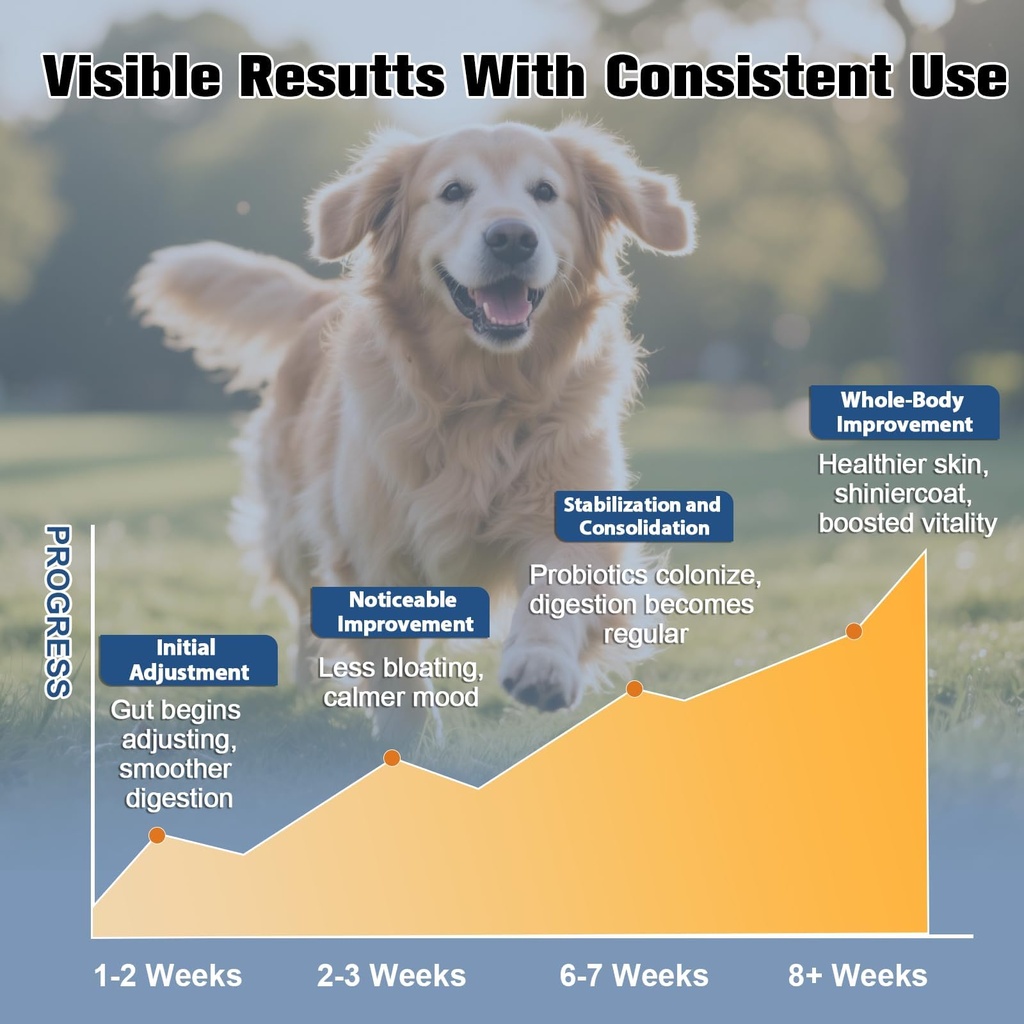 probiotics-for-dogs-digestive-health-nat-6.jpg