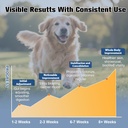 probiotics-for-dogs-digestive-health-nat-6.jpg