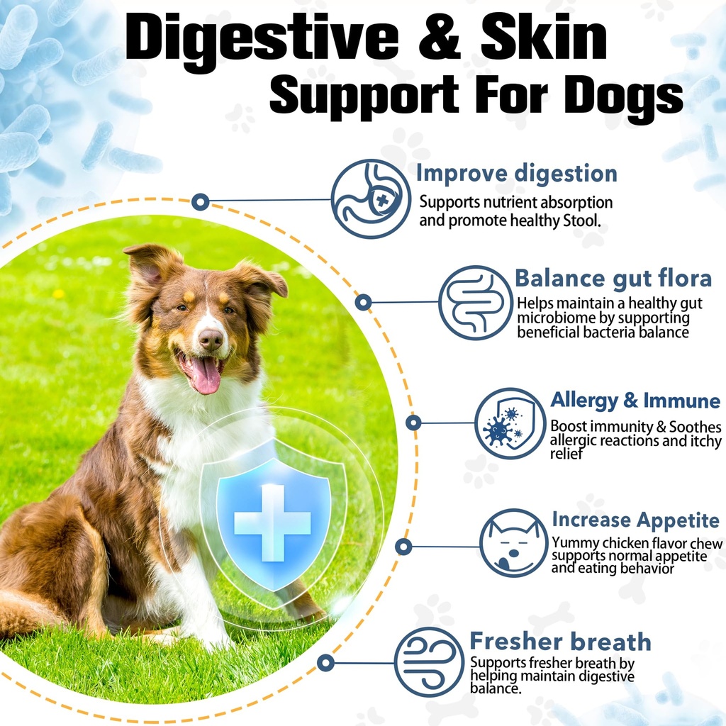 probiotics-for-dogs-digestive-health-nat-3.jpg