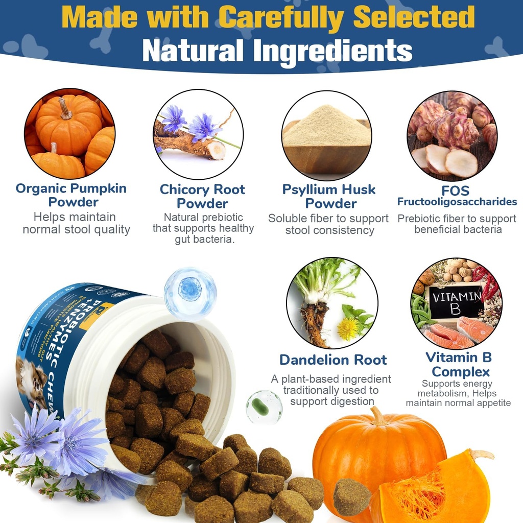probiotics-for-dogs-digestive-health-nat-4.jpg