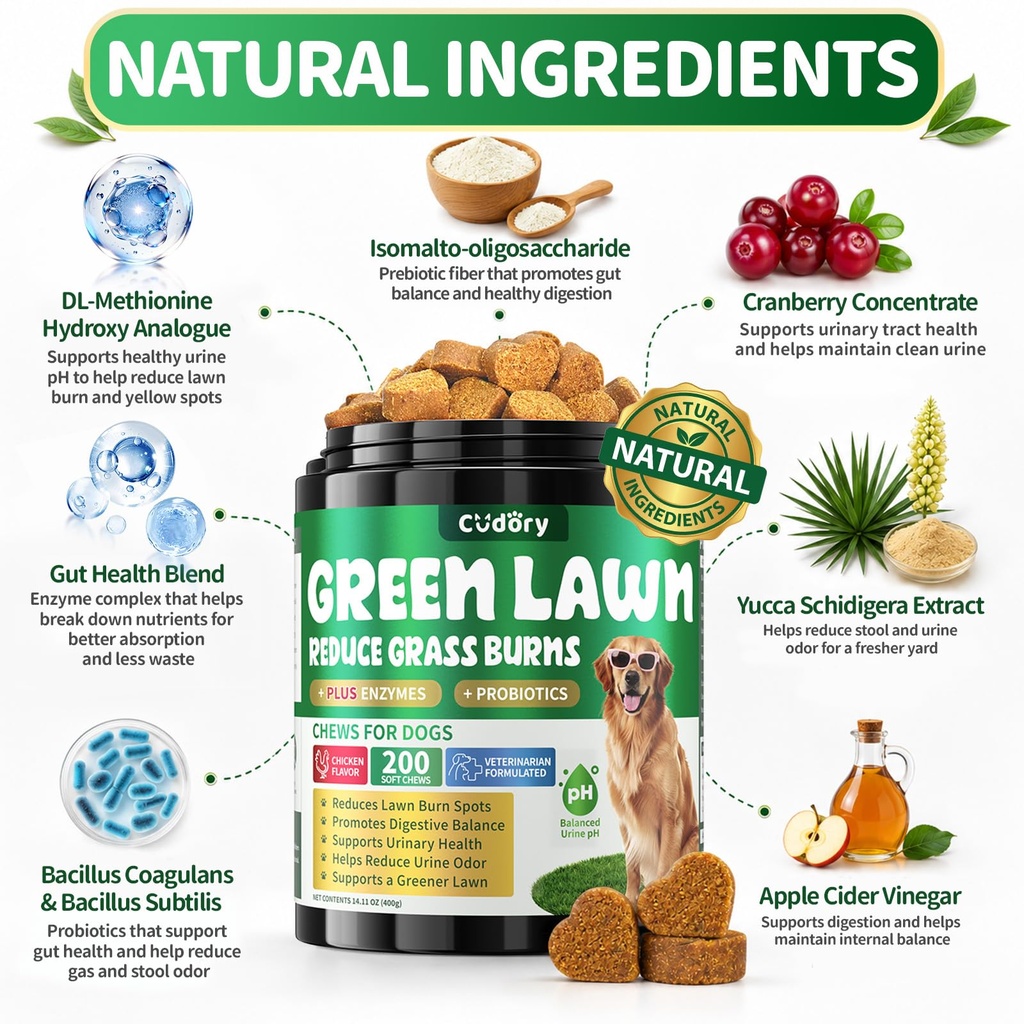 dog-urine-neutralizer-for-lawn-green-gra-4.jpg